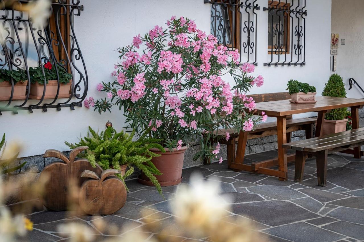 Plunerhof Schenna Dış mekan fotoğraf